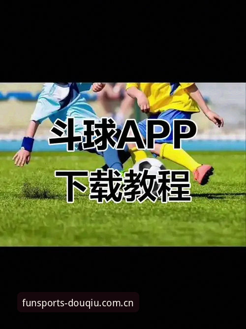 斗球中国区下载哪个好？新手选择与安装完整指南